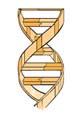 dna